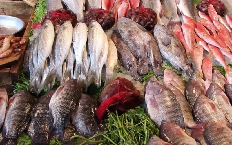 “كيلو البلطي علي كام” أسعار السمك اليوم الخميس 27 يونيو 2024 في مصر بجميع الأسواق للمستهلك