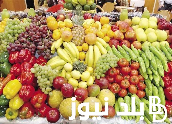 “فكهاني وبحب المانجا” اسعار الفاكهه اليوم الخميس 27 يونيو 2024 في سوق العبور للمستهلك في مصر