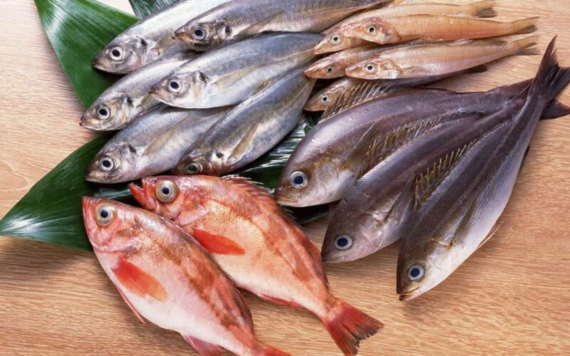 “مكرونة وبلطي وبرانيس” اسعار السمك اليوم الأربعاء 26 يونيو 2024 في سوق العبور للمستهلك