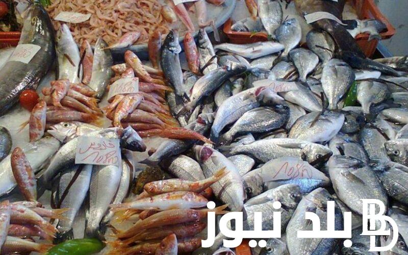 قائمة اسعار السمك اليوم الخميس 27 يونيو 2024 في سوق العبور