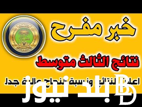 متاحة الآن ✔️ نتائج الثالث متوسط 2024 واسط  (عموم العراق) ورابط الاستعلام عبر موقع نتائجنا results.mlazemna