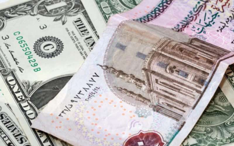 “العُملات طالعه فوق” أسعار العملات في السوق السوداء اليوم في مصر السبت 29 يونيو 2024