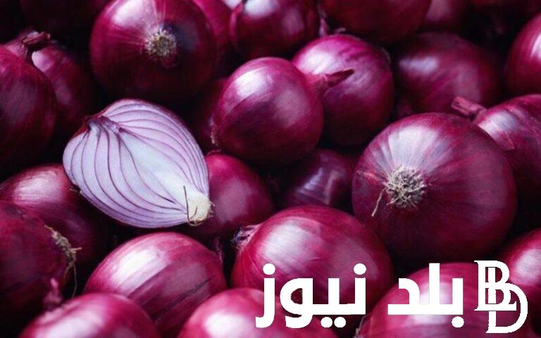الان سعر البصل اليوم الخميس 27 يونيو 2024 في سوق العبور للمستهلكين