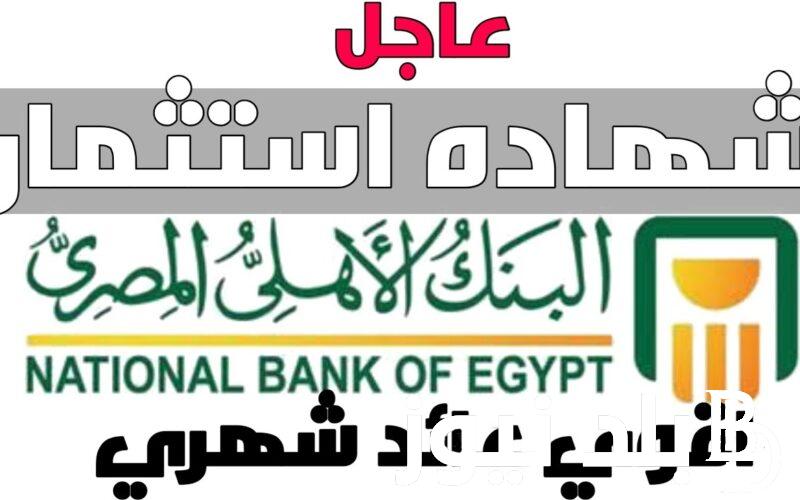 “استثمر فلوسك صح” شهادات البنك الاهلي 2024 بعائد يصل الي 30% في جميع فروع البنك بجمهورية مصر العربية