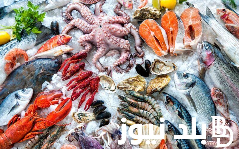 “المُجمدة والفريش” اسعار السمك اليوم الثلاثاء 25 يونيو 2024 للمُستهلك في سوق العبور