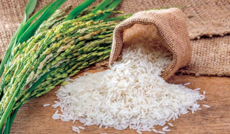 “سعر الادرب كام” سعر طن الأرز الشعير اليوم الخميس 27 يونيو 2024 في الاسواق و أسعار السلع التموينية لشهر يوليو