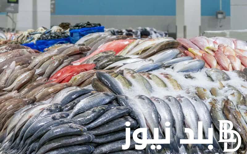 تعرف على.. أسعار السمك اليوم للمستهلك الخميس 27/6/2024 في سوق العبور