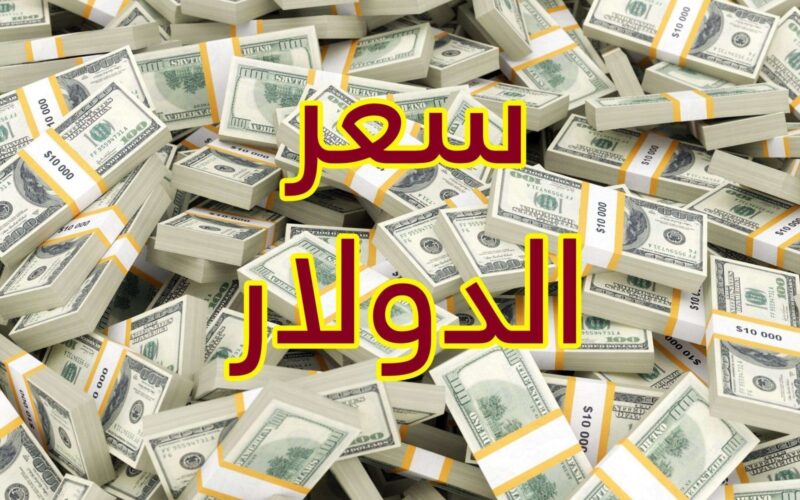 “خمول الاخضر” أعلى سعر للدولار اليوم في السوق السوداء بتاريخ 26 يونيو 2024 مقابل الجنيه المصري