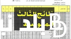 مُباشر الآن نتائج الثالث متوسط 2024 صلاح الدين وجميع المحافظات ورابط الاستعلام عبر results.mlazemna