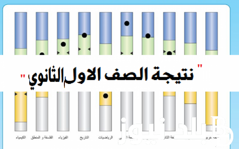 “ناجح ومنقول تانية ثانوي”  ..لينك نتيجة الصف الأول والثاني الثانوي 2024 الترم الثاني بالاسم ورقم الجلوس من بوابه الثانوية العامة موقع وزارة التربية والتعليم