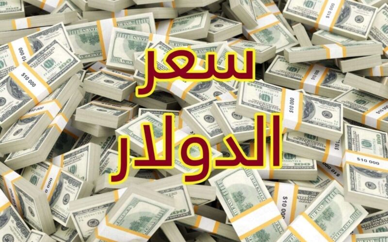 “الامريكاني اتجنن على الآخر!” سعر الدولار في السوق السوداء اليوم لحظة بلحظة بتاريخ 28 يونيو 2024 وفي مختلف البنوك المصرية
