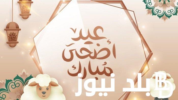 “العيد فرحة” موعد عيد الاضحى 2024 في الجزائر و الإجازات الرسمية لجميع العاملين بالدولة