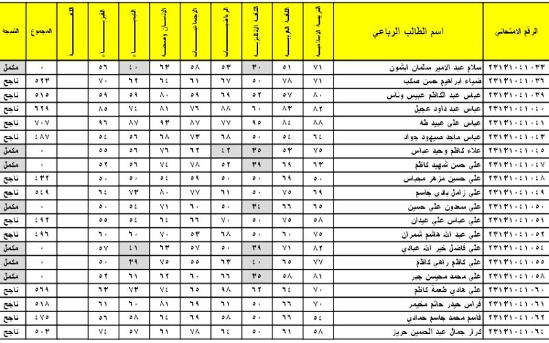 خلال دقائق… نتائج الثالث متوسط 2024 الدور الاول موقع نتائجنا الوزاري (عموم العراق) عبر موقع وزارة التربية العراقية