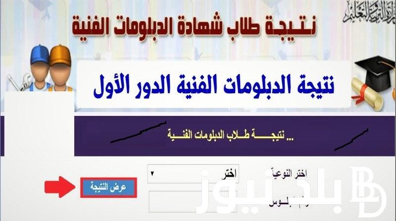 الآن.. نتيجة الدبلومات الفنية لعام 2024 ورابط الاستعلام عنها برقم الجلوس عبر fany.emis.gov.eg