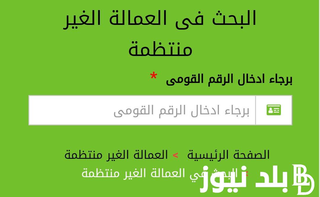 تعرف على هل هناك تقديم في منحة العمالة الغير منتظمة في مصر الان 2024.. وزارة القوى العاملة تُوضح