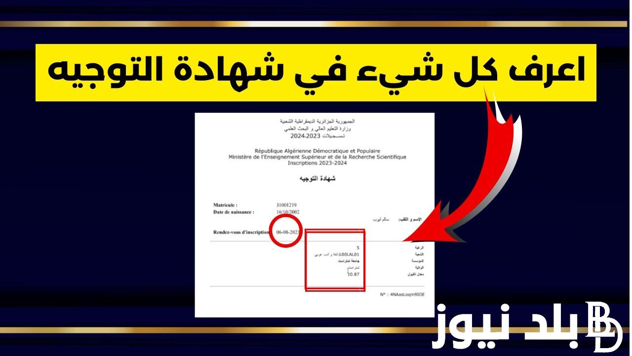 “التربية تُوضح” موعد نتائج التوجيهي 2024 الدور الاول بجميع المدارس في فلسطين ورابط الاستعلام عبر www.moe.pna.ps