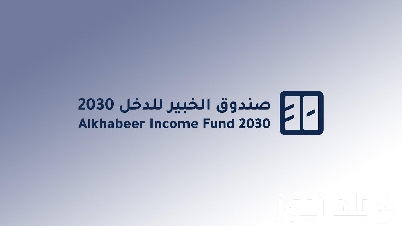 “التفاصيل كاملة” صندوق الخبير للدخل المتنوع 2030 وماهى أنواع الأوراق المالية التي سوف يستثمر فيها الصندوق