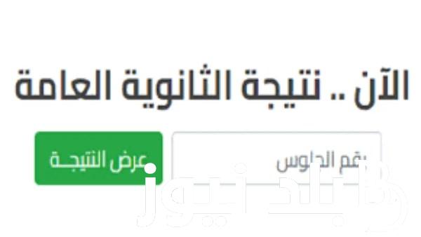 إستعلم عن نتيجة الثانوية العامة بالاسم 2024.. وخطوات كيفية الحصول على نتيجة الثانوية العامة