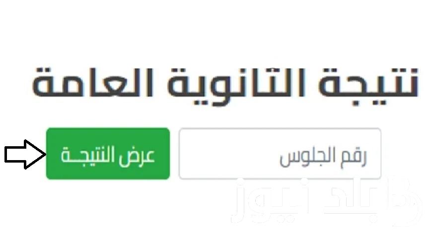 برقم الجلوس “moe.gov.eg” رابط نتيجة الثانوية العامة 2024 الدور الاول من موقع وزارة التربية والتعليم المصرية