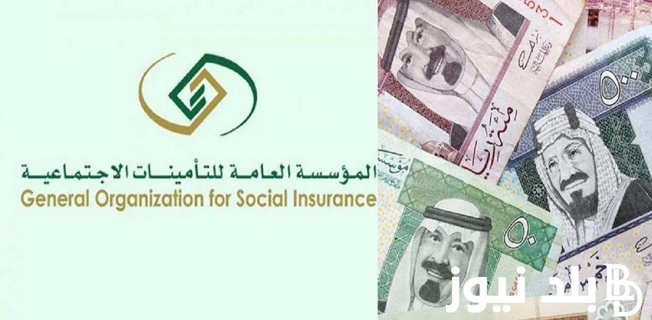 الزيادة كم؟.. وزارة المالية زيادة رواتب المتقاعدين 2024 بالعراق ورابط الاستعلام لقيمة الراتب عبر mof.gov.iq