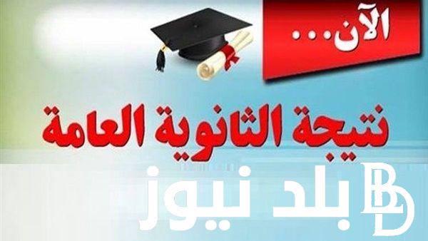 نتيجة الثانوية العامة اعرف ترتيبك 2024 للدور الأول للشعبتين العلمي والأدبي ومؤشرات نسب النجاح