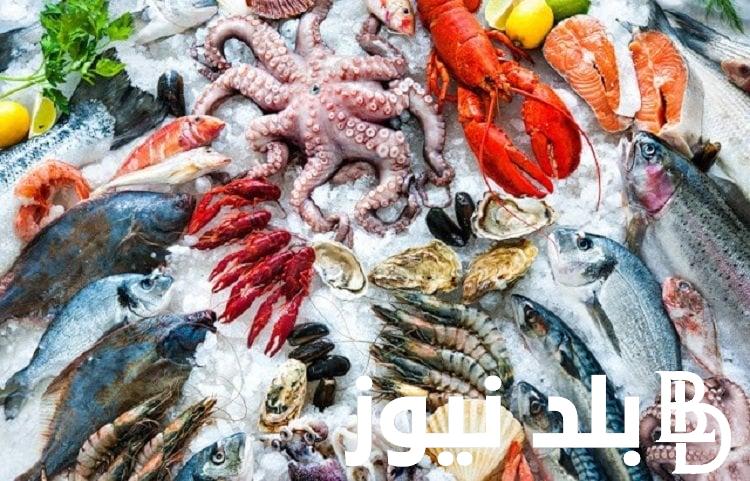 “الكابوريا وصلت لفين” اسعار السمك اليوم السبت الموافق 17 اغسطس 2024 فى الأسواق المحلية المصرية