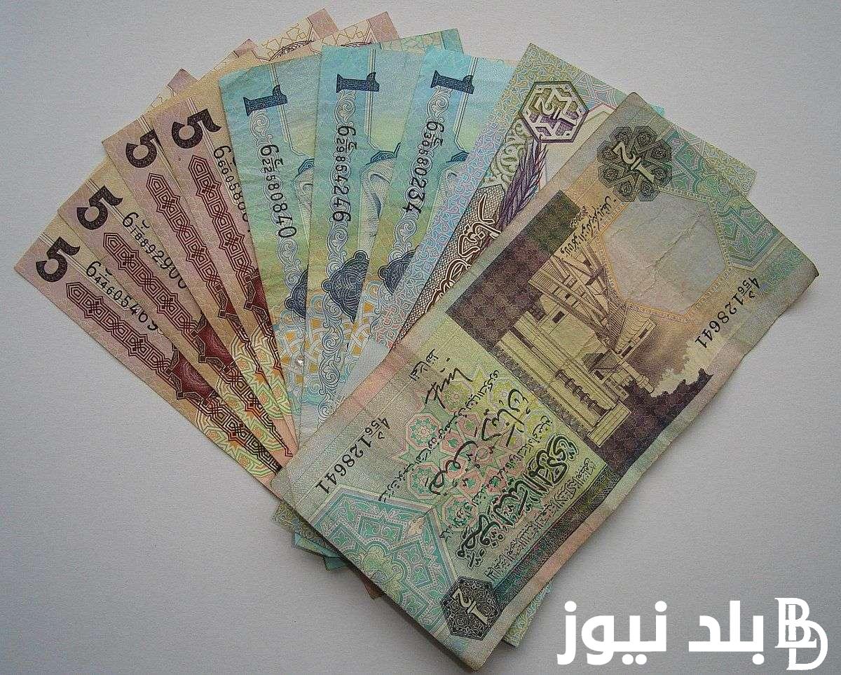 “احجز تذكرة ليبيا” 100 دينار ليبي كم جنيه مصري؟ سعر الدينار الليبي اليوم الخميس الموافق 22 أغسطس 2024 أمام الجنيه المصري