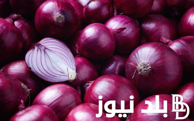 سعر البصل اليوم السبت الموافق 17 اغسطس 2024 للمُستهلك بجميع الاسواق المحلية المصرية