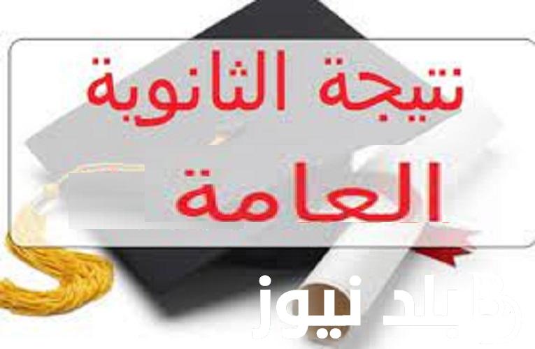 نتيجة نت برقم الجلوس  .. موقع استعلام نتيجة الثانوية العامة 2024 الدور الاول من  وزارة التربية والتعليم moe.gov.eg